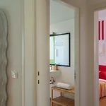 Zip . Design In Florence