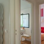 Zip . Design In 4*