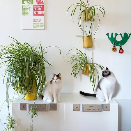 Zip . Design In Frühstückspension