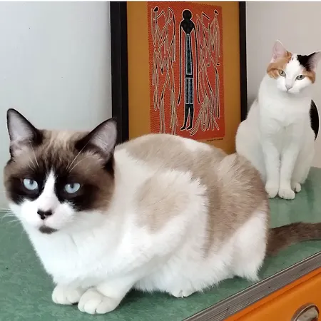 Zip . Design In Отель типа 